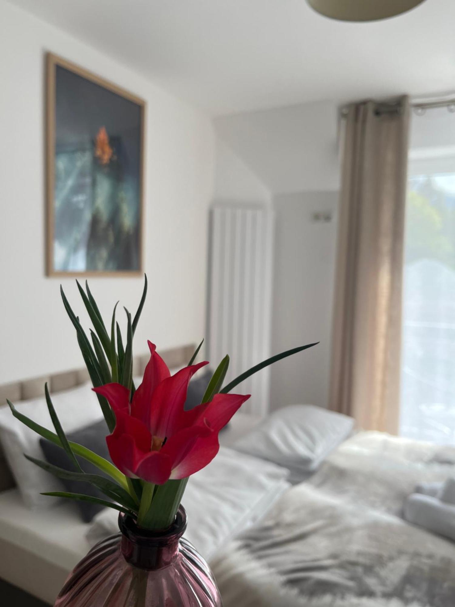 Karkonoskie Widoki Apartamenty Karpacz Exterior foto